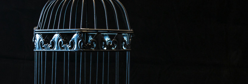 Make Searching for Unclaimed Funds Part of Your Ohio State Fair Visit